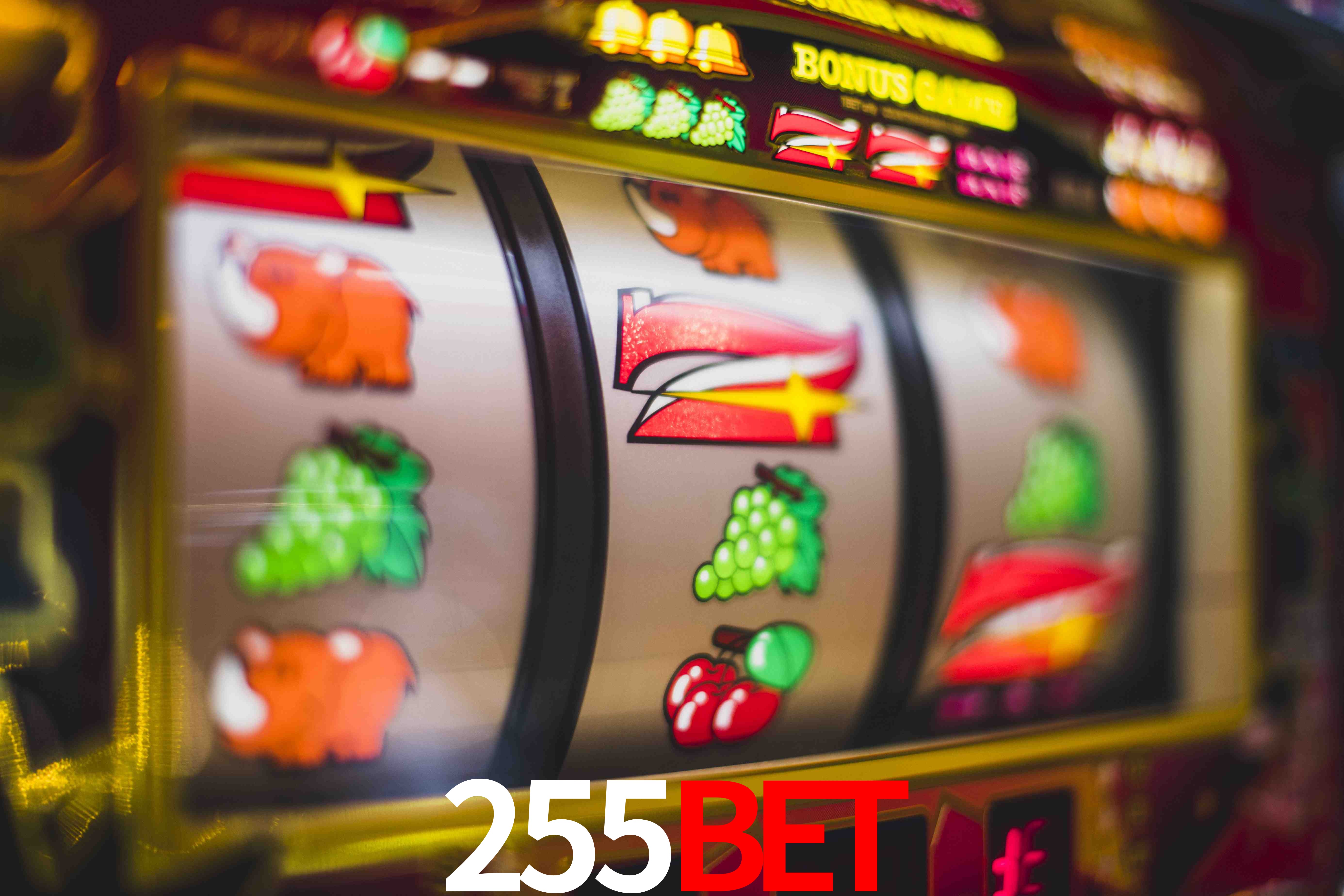 Tennis Betting 255bet