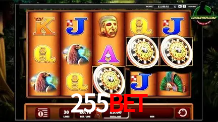 A Experiência Imersiva dos Cassinos Ao Vivo no 255bet