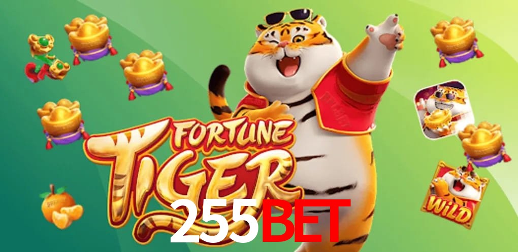 Player Reviews 255bet